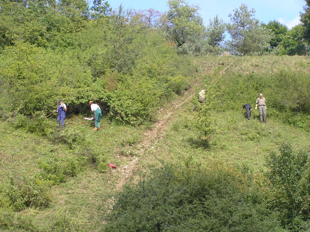 Zisteltal Ensdorf