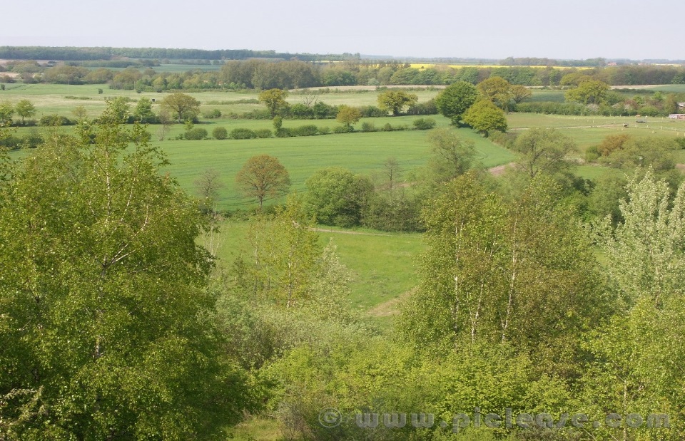 Naturnahe strukturreiche Heckenlandschaft